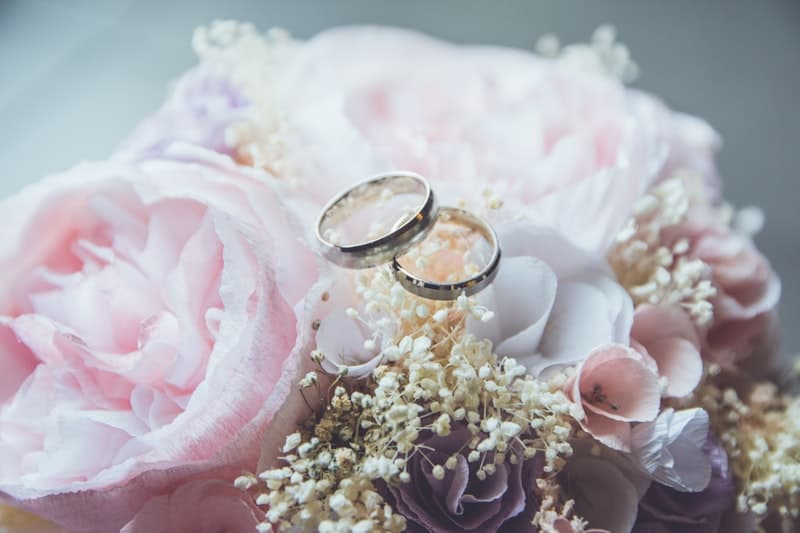Occasions Banner 2